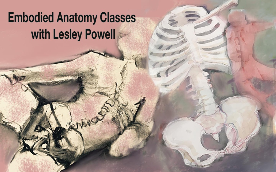 Embodied Anatomy: Online Pilates Mat class with Lesley Powell