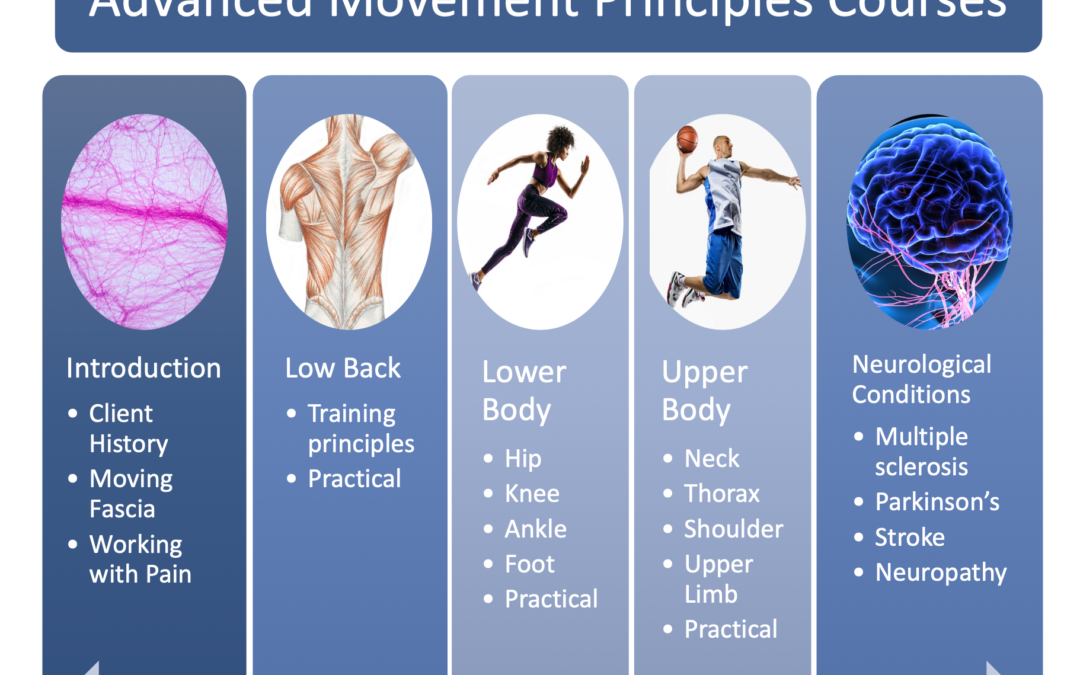 Balanced Body New Program:  Advanced Movement Principles